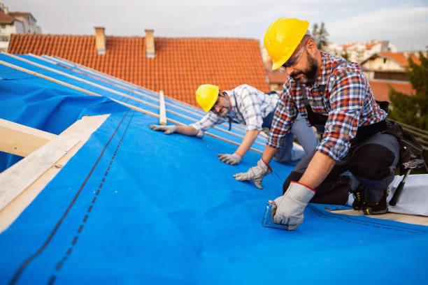 Fast & Reliable Emergency Roof Repairs in Franklin, KY